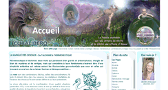 Desktop Screenshot of curalibero.com
